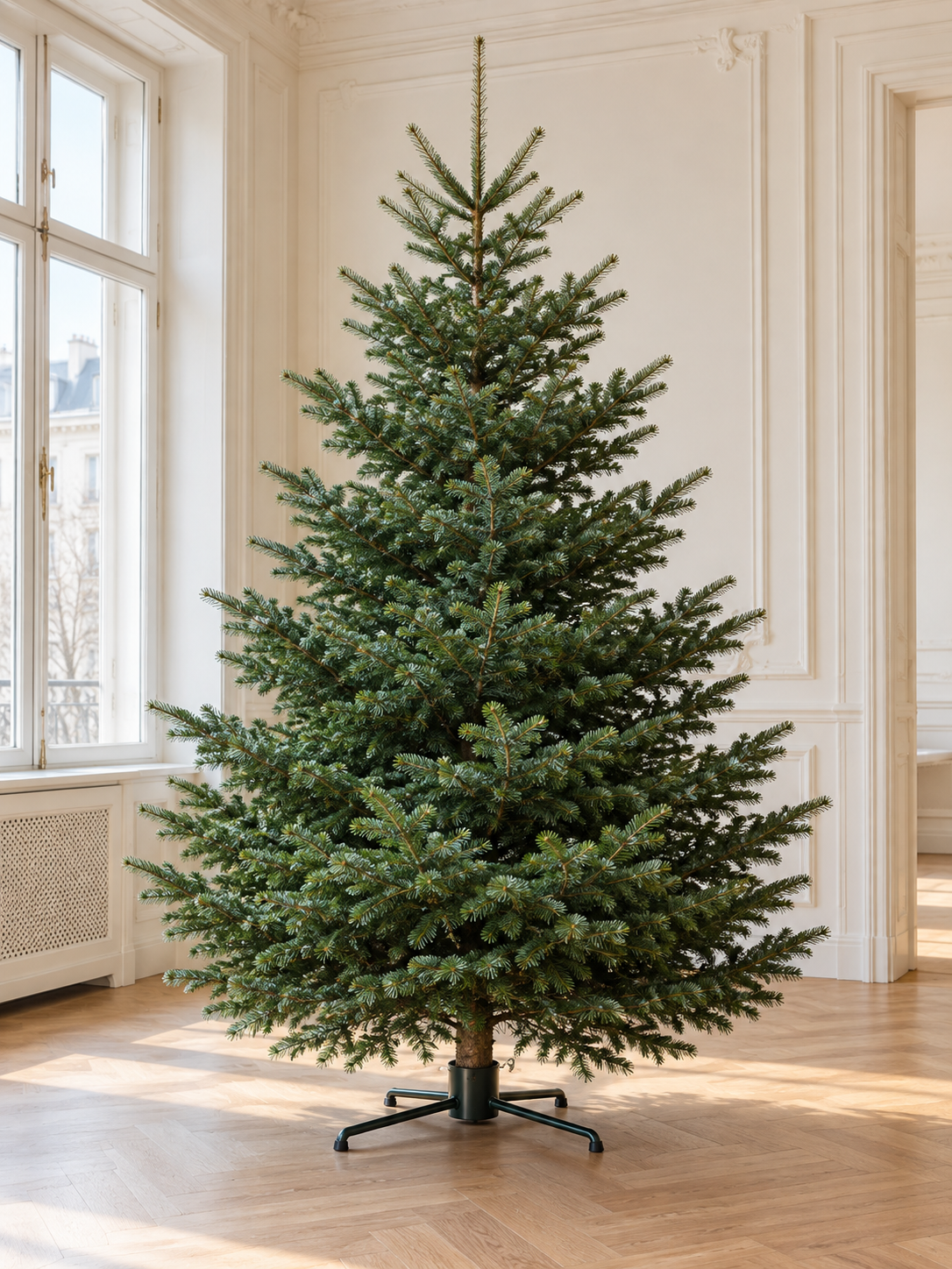 Beispiel: ungeschmückter Weihnachtsbaum im Ständer in einem hellen Raum